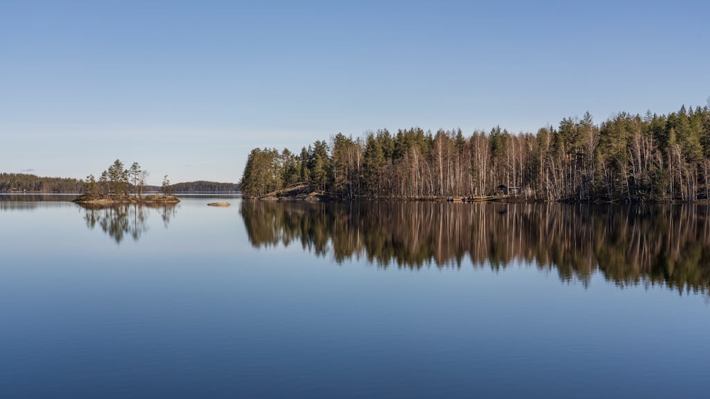 A lake with trees and water in the middle